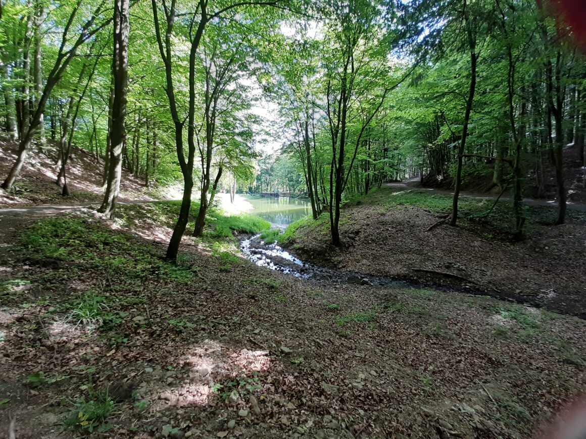 Nenáročná turistika v Bardejove