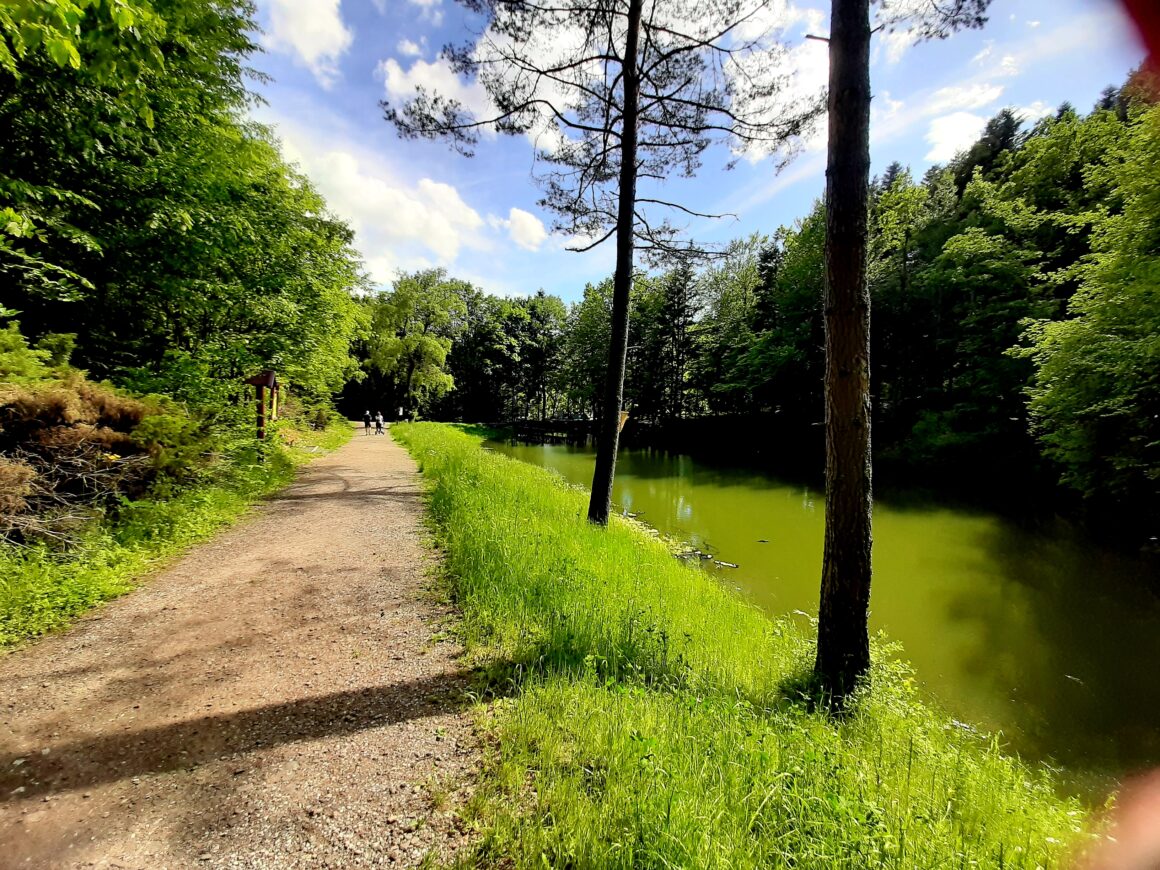 Nenáročná turistika v Bardejove