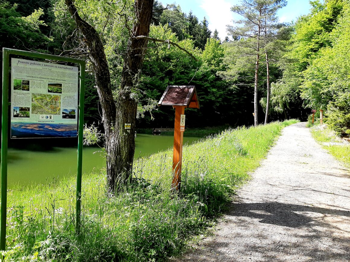 Nenáročná turistika v Bardejove